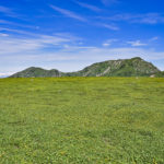 ストレスだらけの世界を生き抜くために。日常生活で心がけたいこと