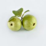 沖縄の食材シリーズ：果肉も葉も栄養たっぷり！グァバ（バンシルー）