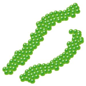 海ブドウイメージ3