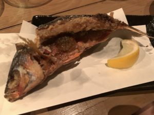 グルクンイメージ1