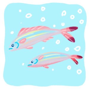 グルクンイメージ3