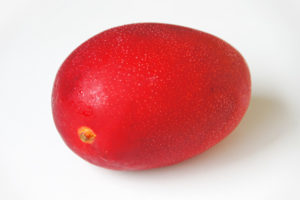 マンゴーイメージ2